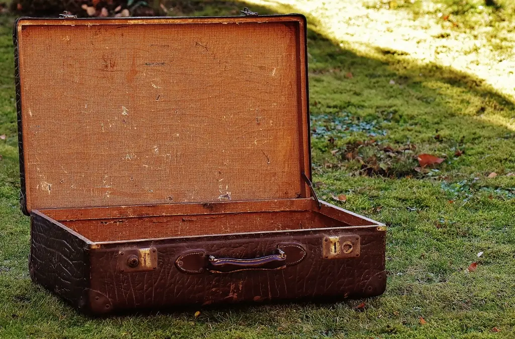An open empty suitcase on grass, ready to be packed for a trip