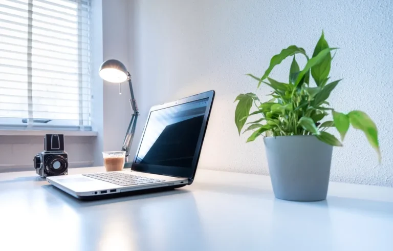 A modern laptop, lamp and plant on a bright white desk